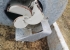 Agronic flytgdseltunna S-17, lastkran och ramp vrigt Agronic S-17 Fyndpris! Agronic flytgdseltunna i nyskick, lite anvnd.

Ett fint tillflle att kunna frvrva en nyare flytgdseltunna i jttefint skick! Sld dec-2021 och helt rtt utrustad.
Sljes fr kundsrkning. 

Agronic S-17. 17 000L, fjdrad boggi-axel med fljande styrning. Fljande utrustning: 
*Broms hydraulisk 4-hjuls 
*Pumparm centralmonterad 8000 l/min 
*Tillvalsutrustning lastningskran: Avlastning via pumparm 
*Ramp med slpskoinjektor 12 m
*Hydraulisk skiftning mellan ramp och spridarplatta 
*Trevgsventil fr omrrning 
*Joystick 5 funktioner el, Krdator, Extra elfunktioner, LS - Load sensing 
*Samt extra LED arbetsljus p kran och bakmonterade Agronic flytgdseltunna S-17, lastkran och ramp