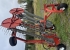 Repossi Strnglggare 6000Fp Big vrigt Repossi 6000FP BIG Kvar Hos inbyteskund 59788 / HME 250307 Repossi Strnglggare 6000Fp Big