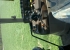 JOHN DEERE 6920S AP CAB PLUS TRAKTOR John Deere 6920S AP CAB PLUS TRAKTOR LASTARE QUICKE Q75 EURO/SMS. JD ELSERVO LASTARSPAK.
650/65X38 10% 540/65X28 15% 
3 DUBB.UTTAG BAK
...
PRIS EXKL. MOMS: 325.000:-
...
MNR 14996
...
Vi reserverar oss fr felskrivning. Kontakta oss alltid innan du ker och tittar, s vi kan skerstlla att maskinen finns p plats.
 JOHN DEERE 6920S AP CAB PLUS TRAKTOR