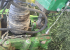 John Deere 8370R John Deere 8370R Säljuppdrag, ring för mera info. John Deere 8370R