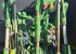 JOHN DEERE 6110M AP TRAKTOR STEPNOSE John Deere 6110M AP TRAKTOR STEPNOSE QUICKE 5S EURO SMS LASTARE  AP  600/65X38 480X28 TRELLEBORG  
3 DUBB.UTTAG  LEDBELYSNING  JD ELSERVO  IMMOBOLIZER  
VAGNSBROMS  EJ AUTOTRAC READY 
...
MNR 30209
...
PRIS EXKL. MOMS: 1.079.000:-
...
Vi reserverar oss för felskrivning. Kontakta alltid oss innan du åker och tittar, så vi kan säkerställa att maskinen finns på plats.
 JOHN DEERE 6110M AP TRAKTOR STEPNOSE