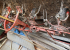 Hövändare Sip Spider 400 Hydraulisk SIP Spider 400 Fin hövändare
4 m Hövändare Sip Spider 400 Hydraulisk